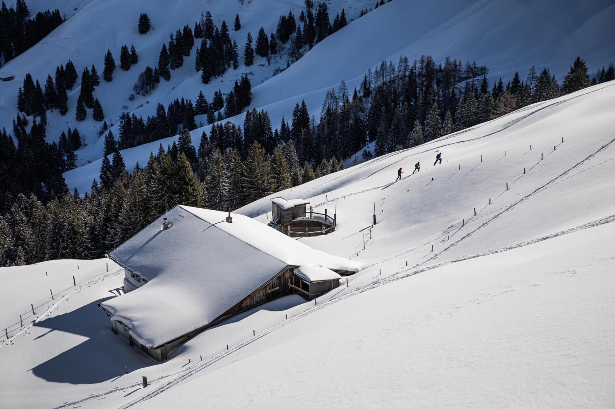 Kitzbuehel Suites By Alps Resorts Oberndorf in Tirol Exterior foto